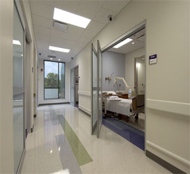 Commercial Healthcare Wall Protection System